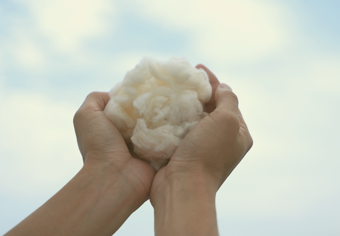 サステナビリティ