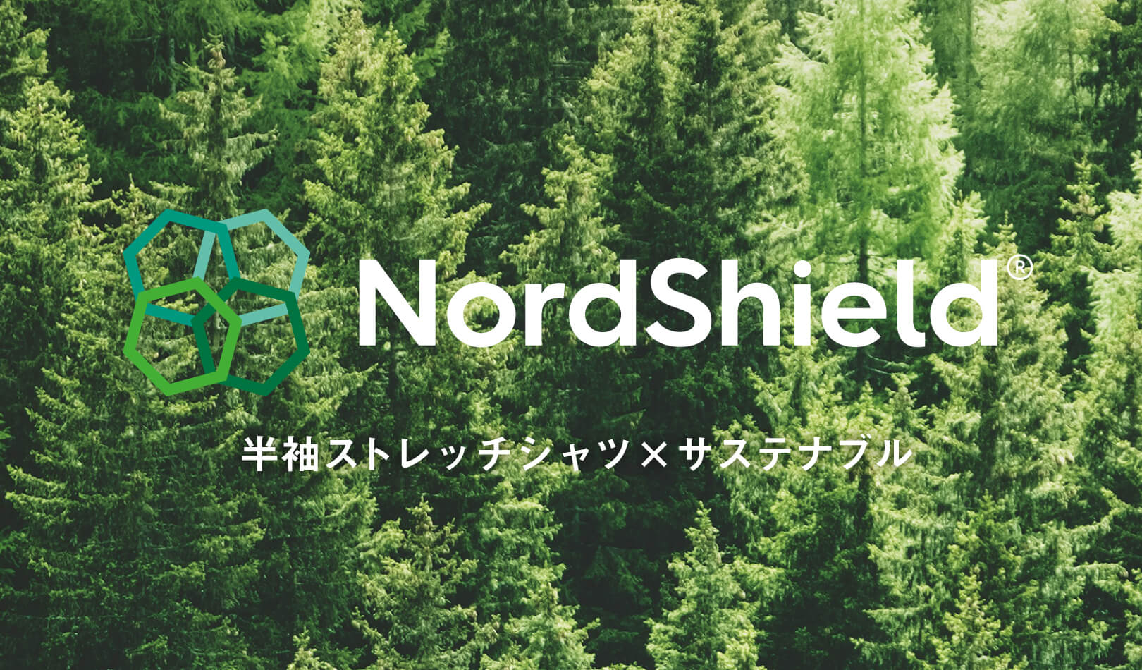 NordShield イメージ