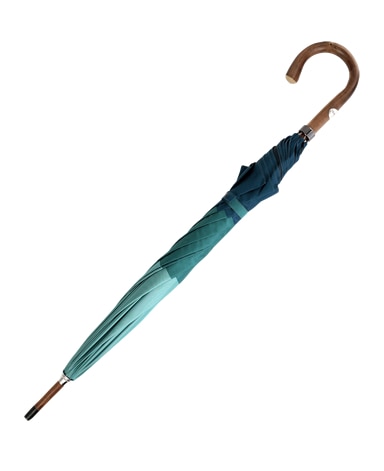 傘/マリアフランチェスコ