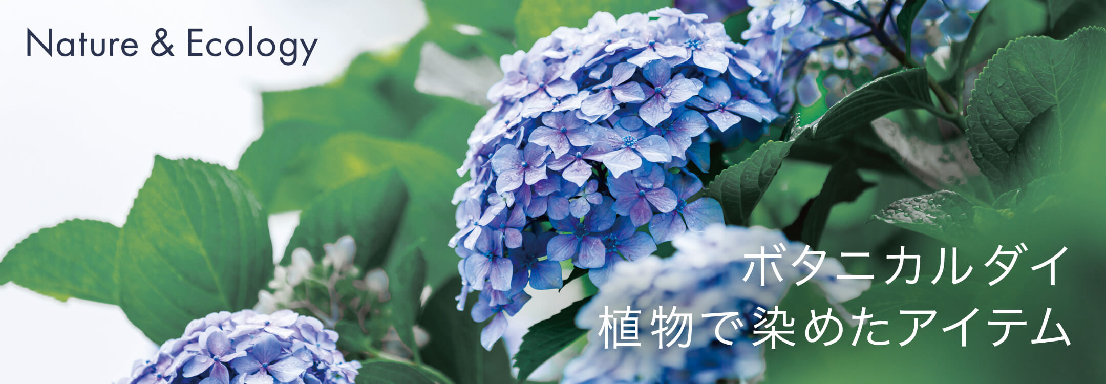 ボタニカルダイ｜植物染めアイテム