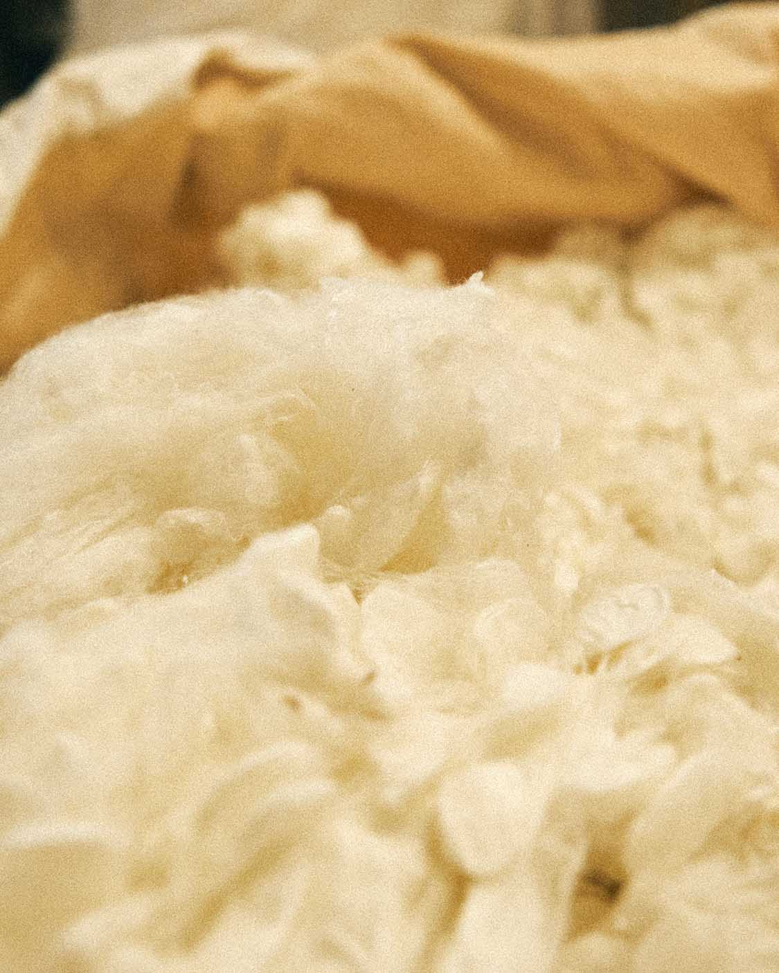 Silk Fabric Close-up